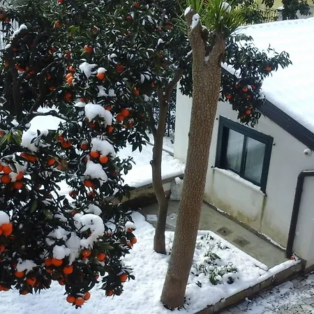 Bed & Breakfast La Magnolia Baronissi