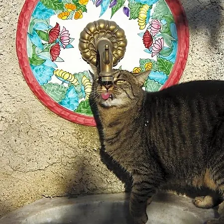Отель типа 